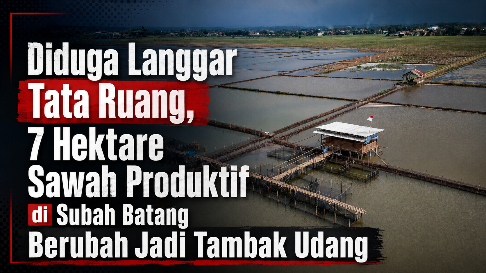 Alih Fungsi Lahan Produktif Jadi Tambak